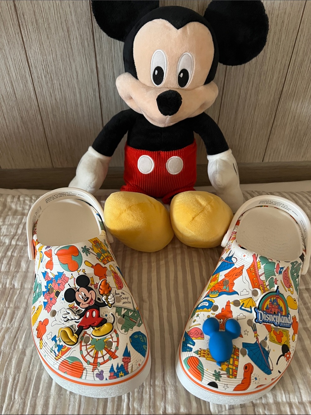Disneyland Park with Mickey Crocs Unisex NWOT